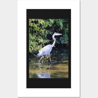 Heron Posters and Art